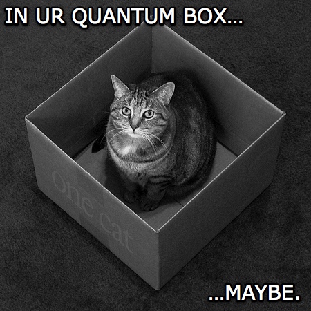 Schrodinger’s LOLcat